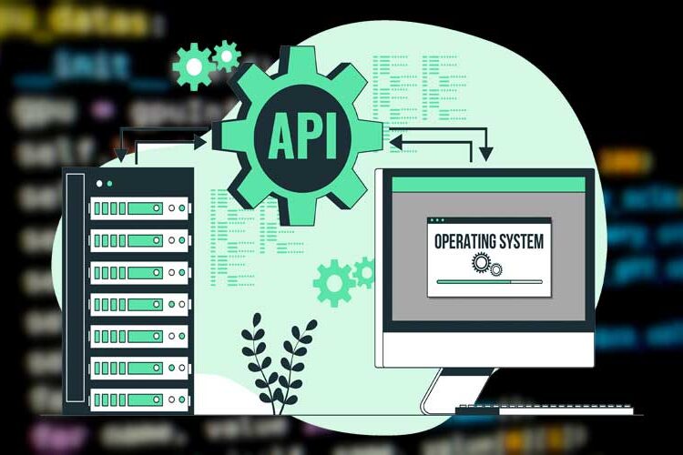 Navigating the Web of API Protocols
